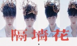 隔墙花在线观看,窥探心灵深处的情感纠葛