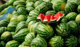 网红 吃瓜,揭秘娱乐圈幕后真相